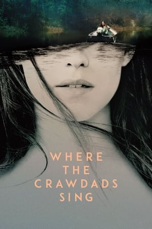 Where the Crawdads Sing (2022) Hindi Dual Audio – HD Poster Download - filmyfly