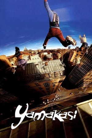 Yamakasi 2001 Hindi Dual Audio 300MB HD Poster Download - filmyfly
