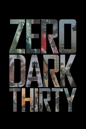Zero Dark Thirty 2012 Hindi Dual Audio 450MB HD Poster Download - filmyfly